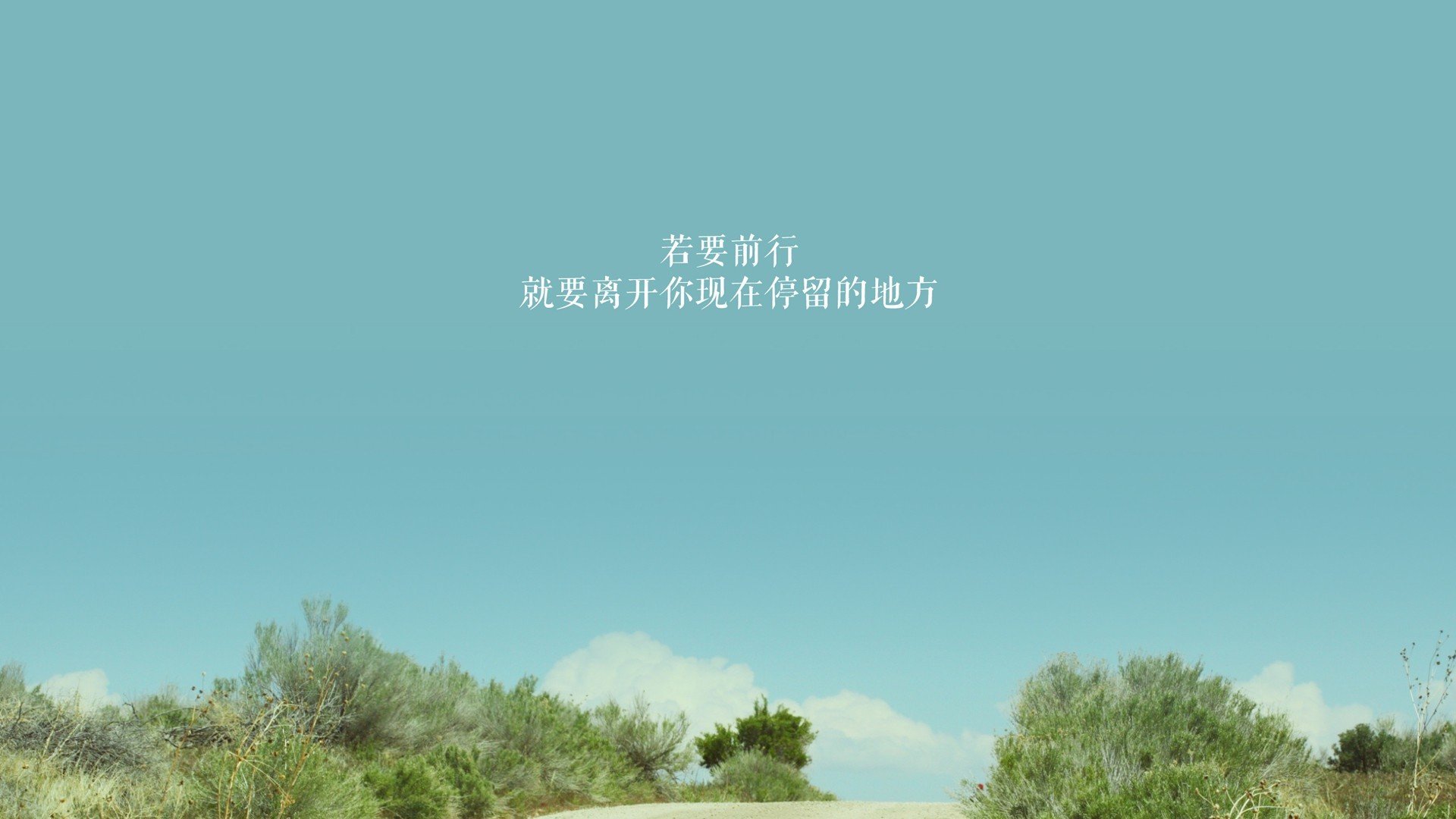 _森林狼展现韧性，激战取得佳绩_，森林狼的比赛