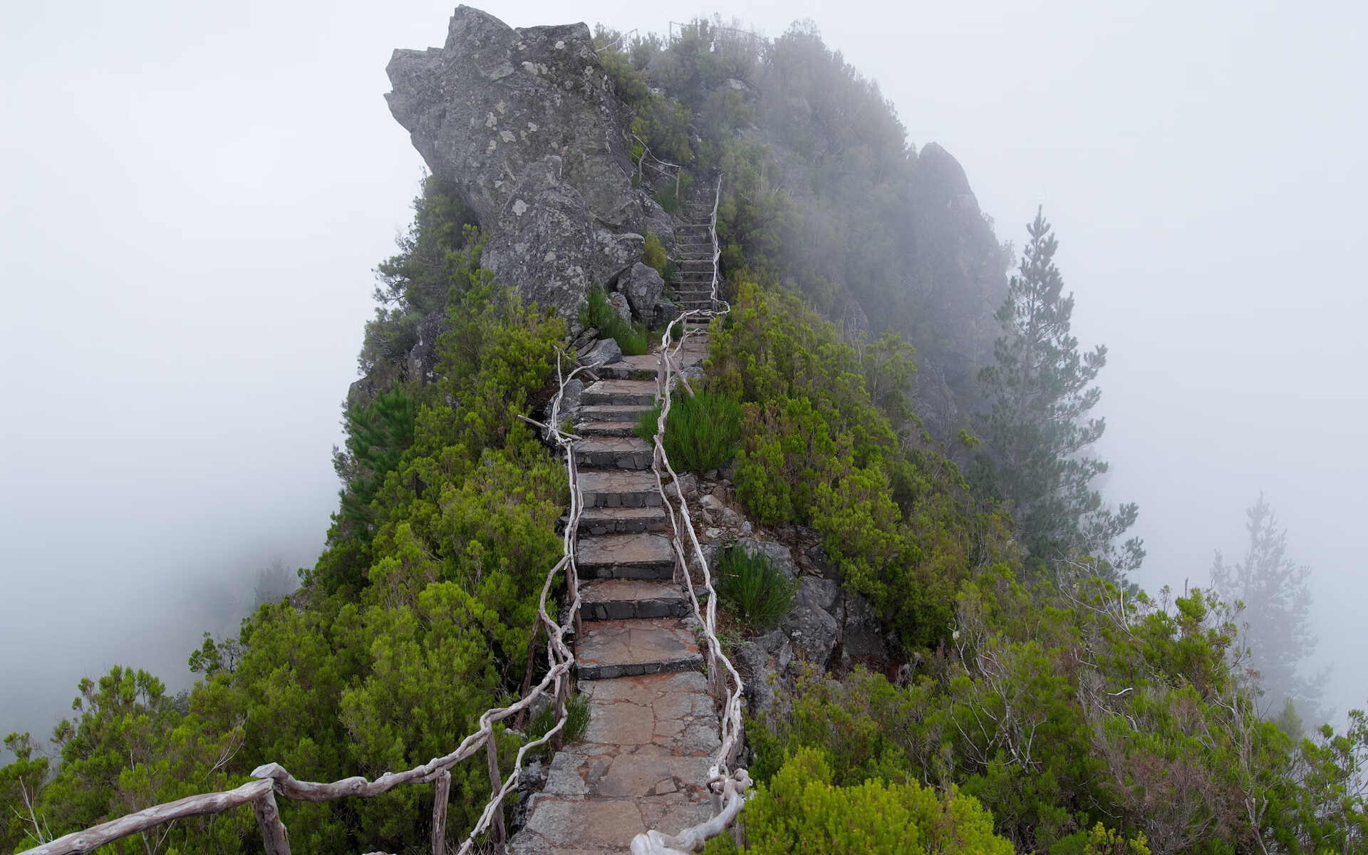 球迷风采：粉丝的热情应援点燃赛场，球迷粉丝怎么称呼好听