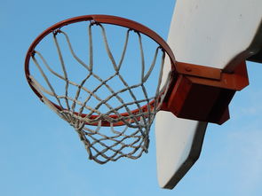 开云官方网页登录-NBA球员防守意识培养训练法与行为转化研究，nba2021球员防守效率