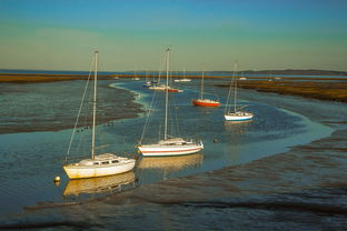 开云体育APP下载-兴隆湖上演“国际艇战”，多国精英争锋