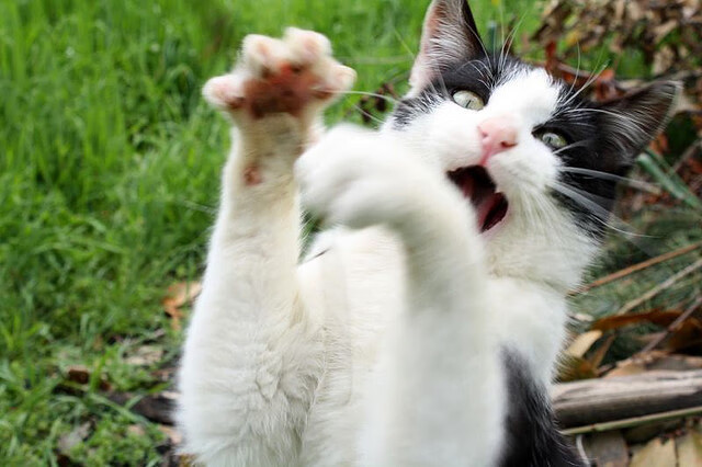 奥预赛U23国足战平 球迷呼吁更多换人尝试,国奥队u23亚洲杯