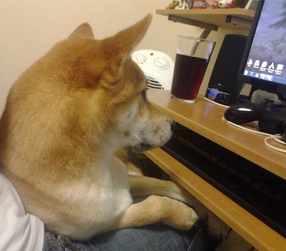 美国队表现不俗:国际乒联混合团体世界杯深度回顾,美国乒乓球世锦赛