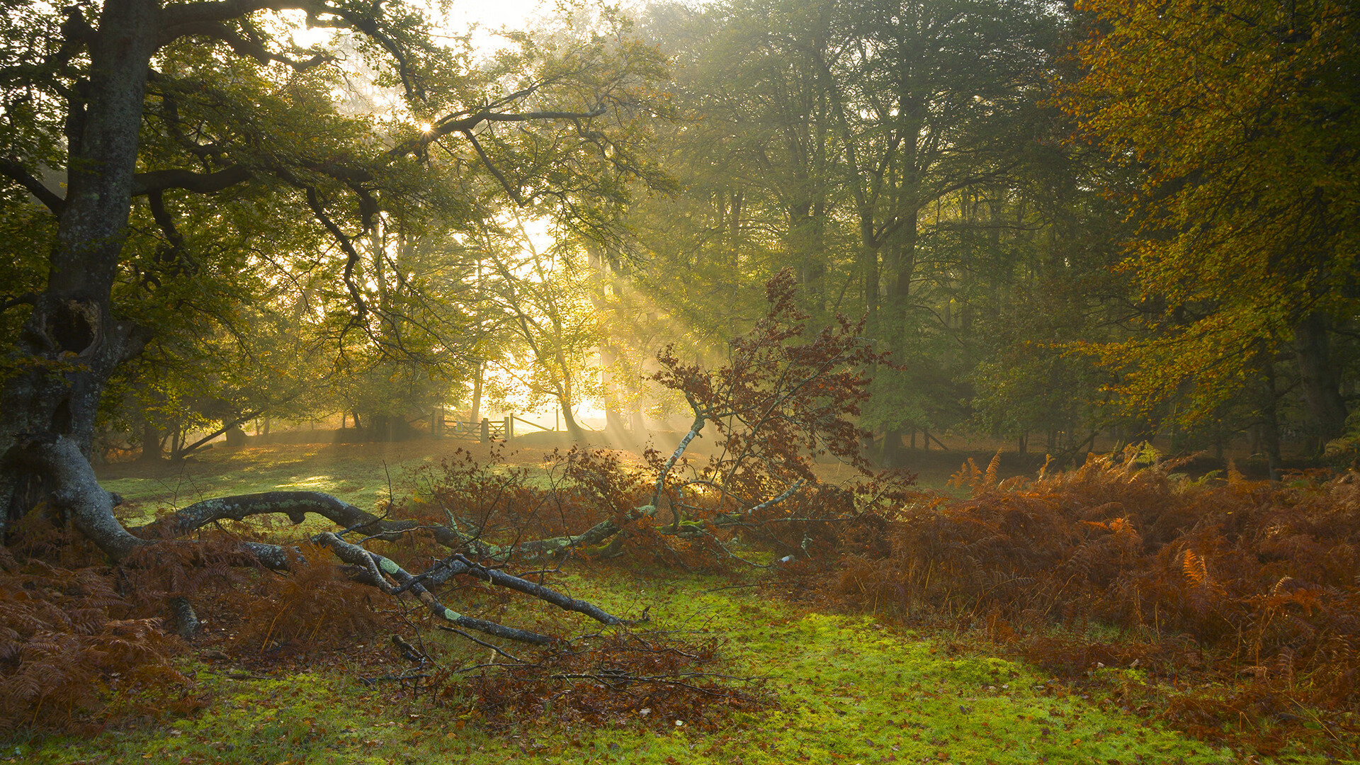 kaiyun登录入口-2026世界杯倒计时：场馆设计融入未来科技元素，确保高科技体验，2026世界杯场地