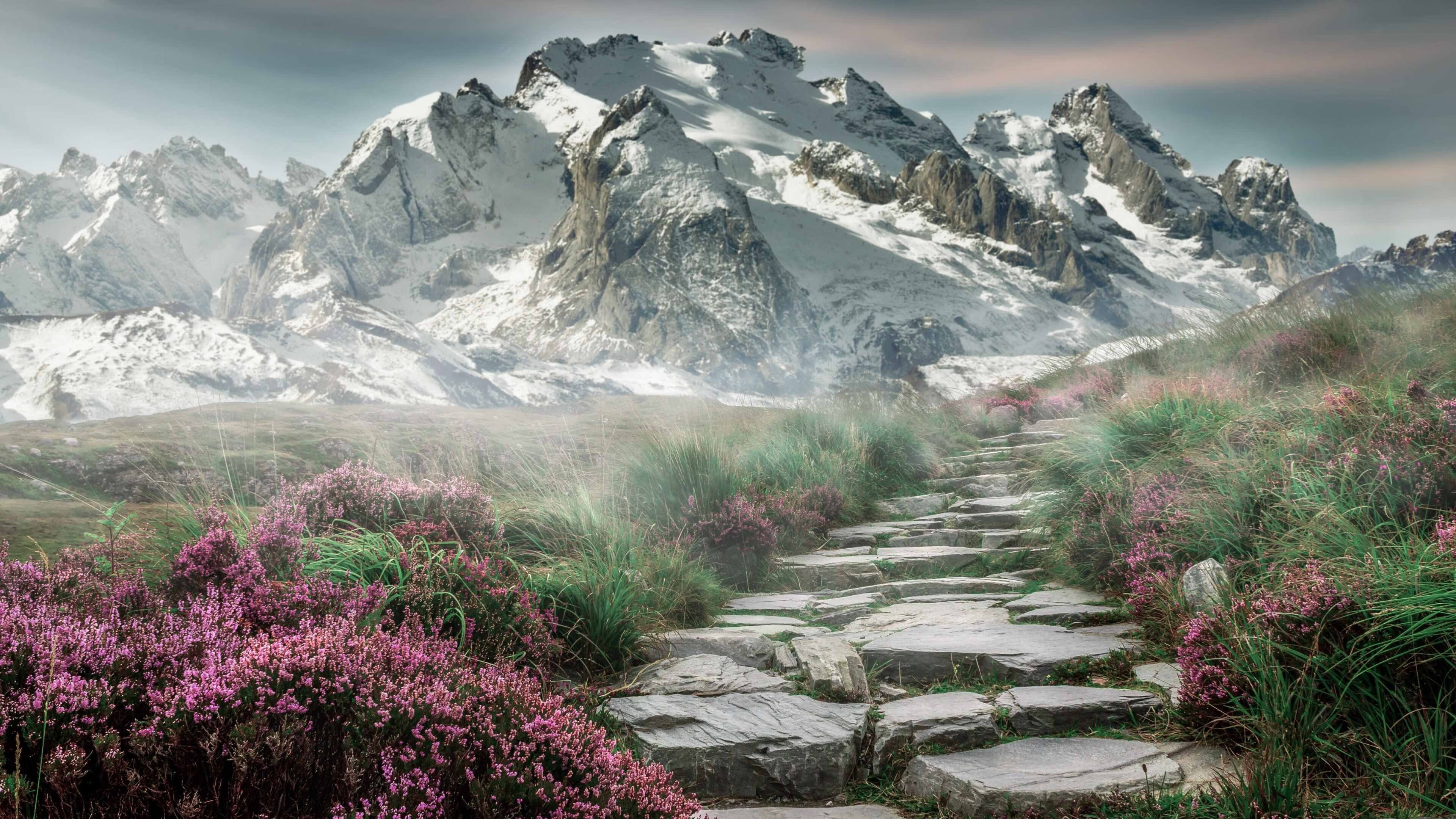 凯尔特人控卫展现强大组织能力引全队认可，凯尔特人队怎么样