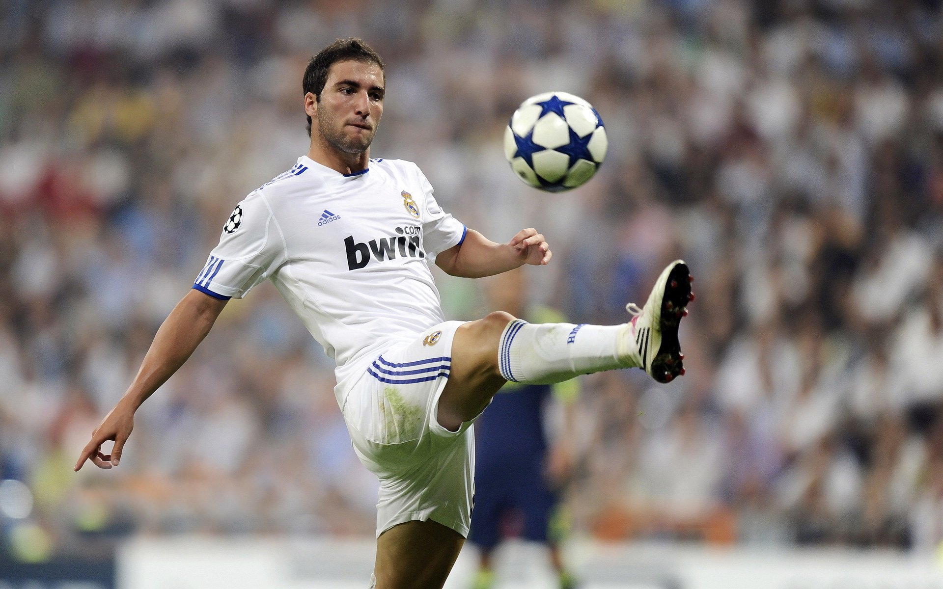 自由搏击实战训练方式持续优化，自由搏击训练动作